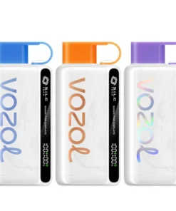 Vozol Star 12000 Vape Kit Rechargeable mit 12.000 Zügen – leistungsstarkes wiederaufladbares Vape für Deutschland